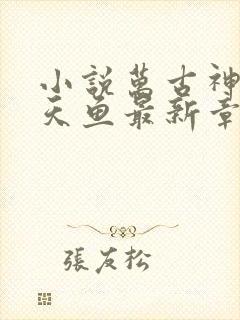 小说万古神帝飞天鱼最新章节目录