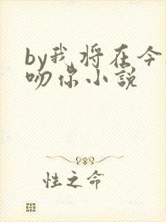 by我将在今夜吻你小说
