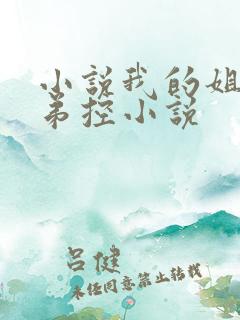 小说我的姐姐很弟控小说