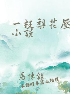 一枝梨花压海棠小说