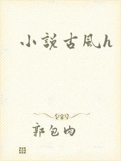 小说古风h