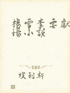 杨雪李要献身官场小说