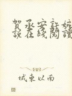 贺承安许婉淑小说在线阅读