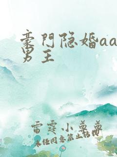 豪门隐婚aa制男主