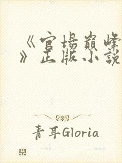《官场巅峰李霖》正版小说
