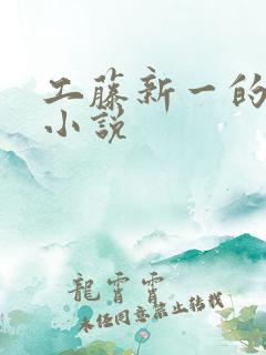 工藤新一的虐文小说