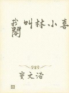 我叫林小喜笔趣阁