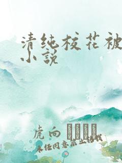 清纯校花被蹂躏小说