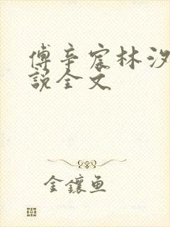 傅辛宸林汐若小说全文