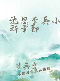 沈思李兵小说最新章节