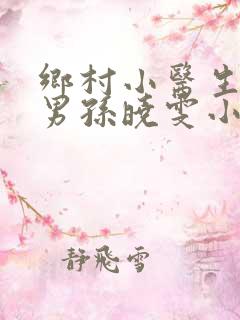 乡村小医生赵铁男孙晓雯小说