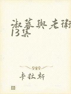 淑蓉与老卫1—13集