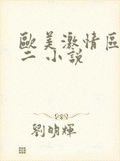 欧美激情区一区二 小说