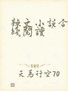 辣文小说合集在线阅读