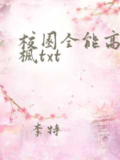 校园全能高手季枫txt