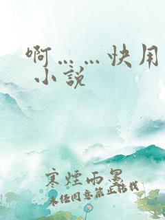 啊……快用力插 小说