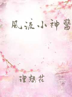风流小神医叶凡