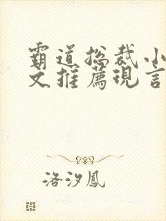 霸道总裁小说虐文推荐现言小说