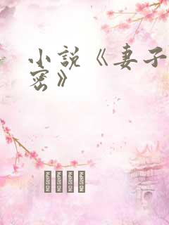 小说《妻子的秘密》