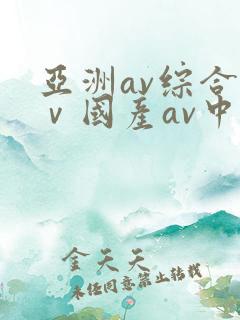 亚洲av综合aⅴ国产av中文