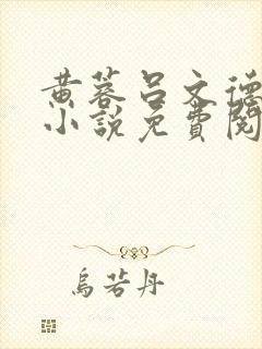 黄蓉吕文德外传小说免费阅读