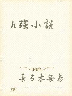 h强小说
