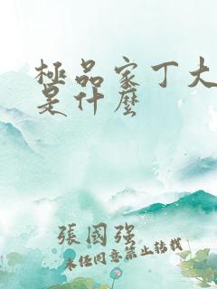 极品家丁大结局是什么