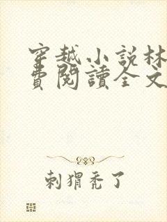 穿越小说林丰免费阅读全文