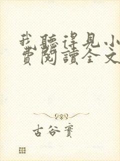 我听得见小说免费阅读全文
