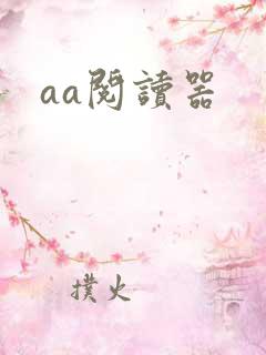 aa阅读器