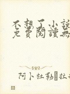 不想了小说全文免费阅读无弹窗