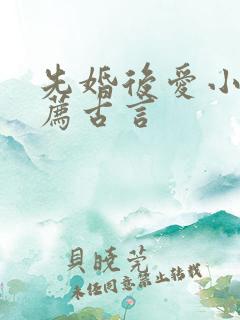 先婚后爱小说推荐古言