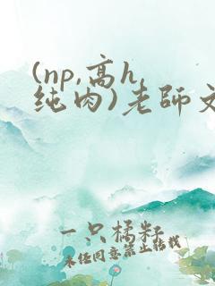 (np,高h,纯肉)老师文