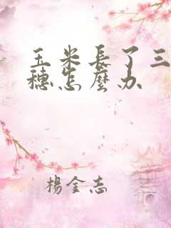 玉米长了三四个穗怎么办