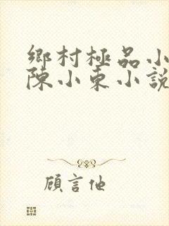 乡村极品小医仙陈小东小说在线阅读