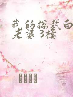 我的总裁白富美老婆 3楼