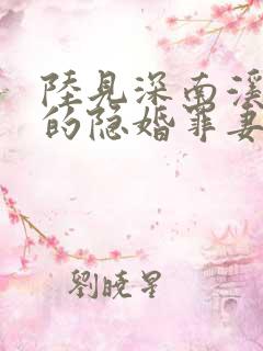 陆见深南溪陆少的隐婚罪妻