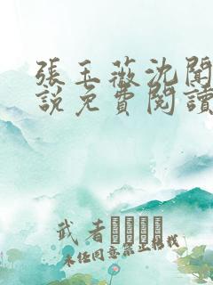 张玉薇沈闻天小说免费阅读最新章节