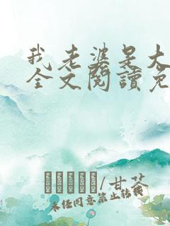 我老婆是大明星全文阅读免费