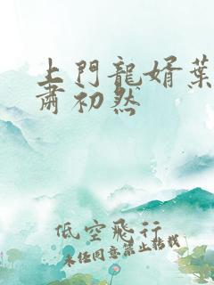 上门龙婿叶辰和肃初然