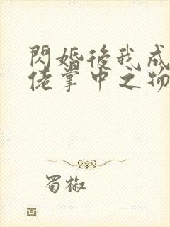 闪婚后我成了大佬掌中之物完整版