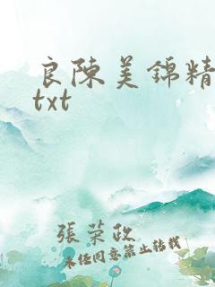 良陈美锦精校版txt