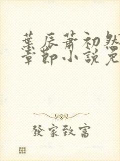叶辰萧初然最新章节小说免费阅读