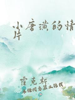 小唐璜的情史正片