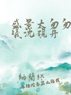 盛景太匆匆宁若曦沈砚舟