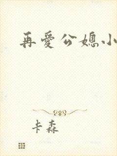 再爱公媳小说