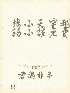 杨小天穿越武魂的小说免费阅读无弹窗