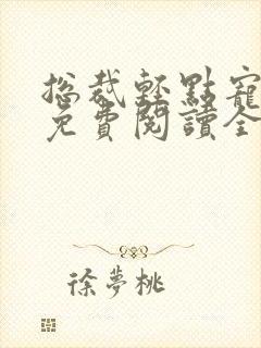 总裁轻点宠小说免费阅读全文