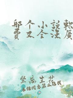 哪个小说软件免费又全没广告