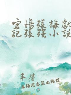 官场张梅献身书记张强小说在线阅读